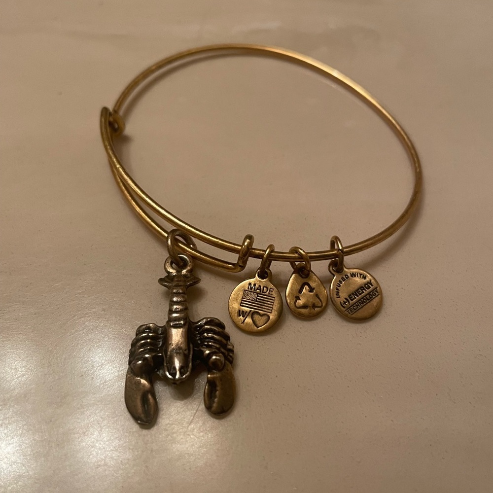 Alex and Ani lobster charm bracelet